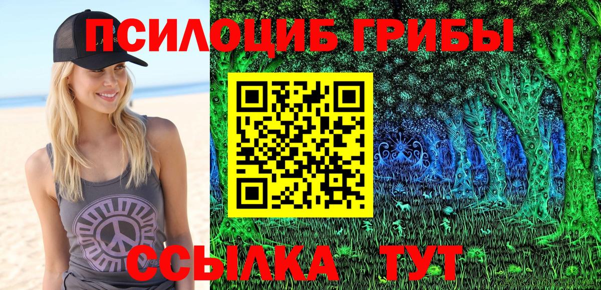 Чернушка  Псилоцибиновые грибы Psilocybe  Псилоцибиновые грибы MAGIC MUSHROOMS  Вход с VPN 